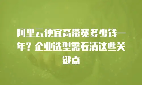 阿里云便宜高带宽多少钱一年？企业选型需看清这些关键点