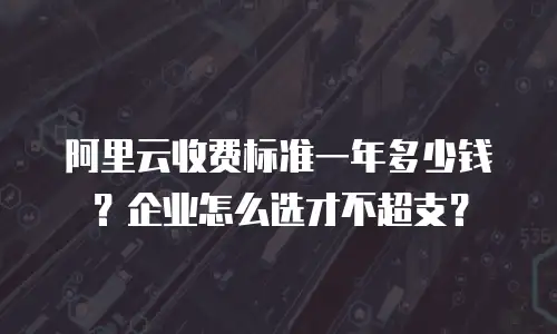 阿里云收费标准一年多少钱？企业怎么选才不超支？