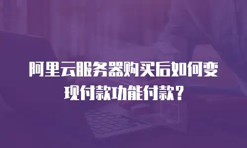 阿里云服务器购买后如何变现付款功能付款？