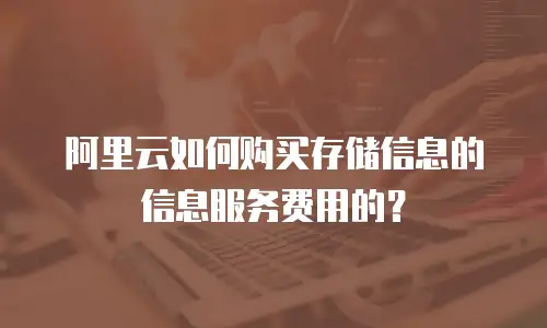 阿里云如何购买存储信息的信息服务费用的？