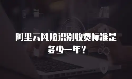 阿里云风险识别收费标准是多少一年？