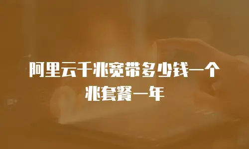 阿里云千兆宽带多少钱一个兆套餐一年