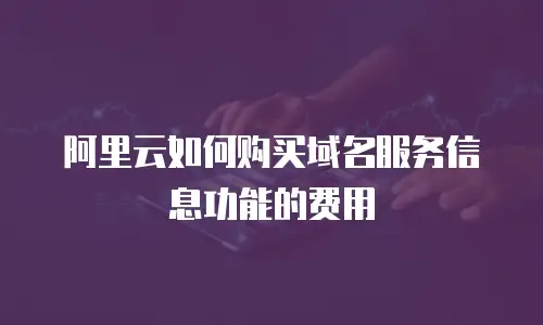 阿里云如何购买域名服务信息功能的费用