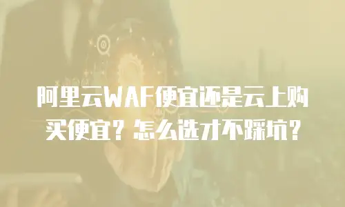 阿里云WAF便宜还是云上购买便宜？怎么选才不踩坑？