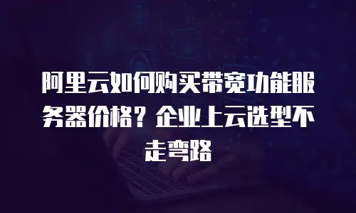 阿里云如何购买带宽功能服务器价格？企业上云选型不走弯路