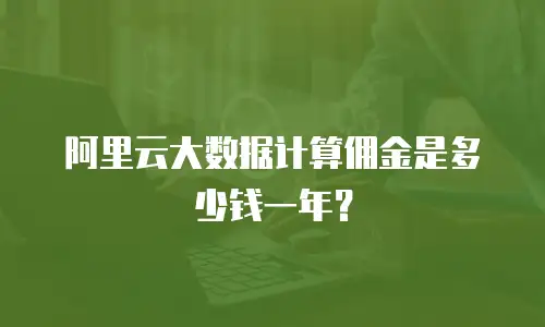 阿里云大数据计算佣金是多少钱一年？