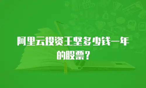 阿里云投资王坚多少钱一年的股票？