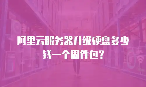 阿里云服务器升级硬盘多少钱一个固件包？