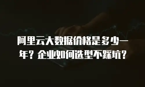 阿里云大数据价格是多少一年？企业如何选型不踩坑？