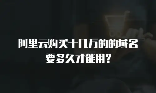 阿里云购买十几万的的域名要多久才能用？