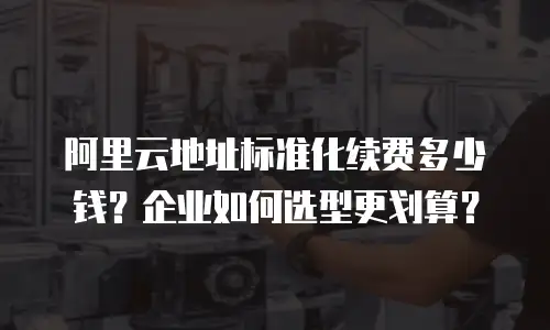 阿里云地址标准化续费多少钱？企业如何选型更划算？