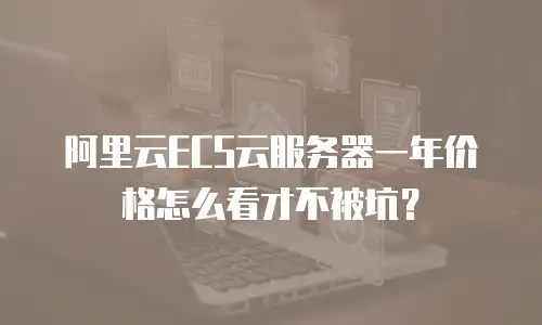 阿里云ECS云服务器一年价格怎么看才不被坑？