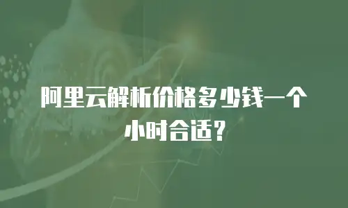 阿里云解析价格多少钱一个小时合适？