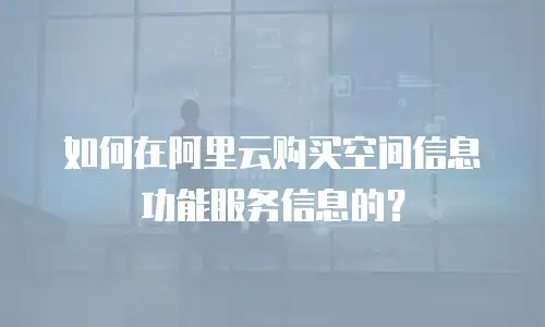 如何在阿里云购买空间信息功能服务信息的？