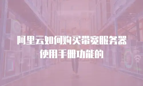 阿里云如何购买带宽服务器使用手册功能的