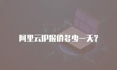 阿里云IP报价多少一天？