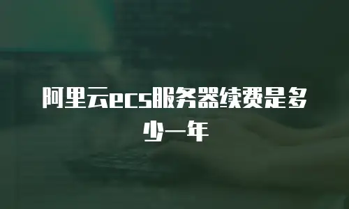 阿里云ecs服务器续费是多少一年