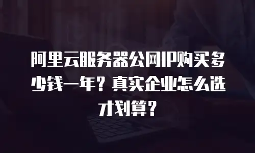 阿里云服务器公网IP购买多少钱一年？真实企业怎么选才划算？