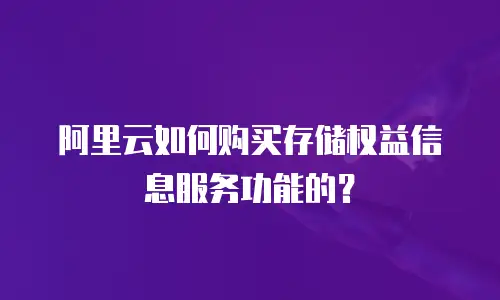 阿里云如何购买存储权益信息服务功能的？