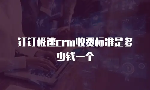 钉钉极速crm收费标准是多少钱一个