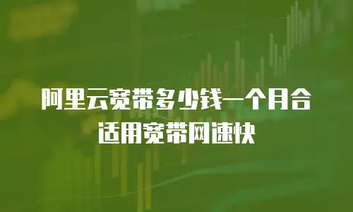 阿里云宽带多少钱一个月合适用宽带网速快