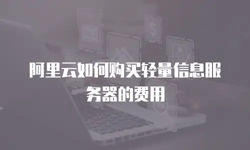 阿里云如何购买轻量信息服务器的费用