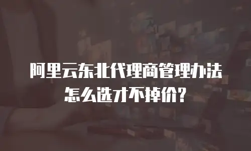阿里云东北代理商管理办法怎么选才不掉价？