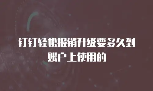 钉钉轻松报销升级要多久到账户上使用的