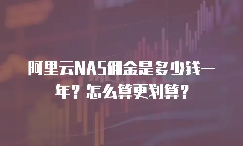 阿里云NAS佣金是多少钱一年？怎么算更划算？