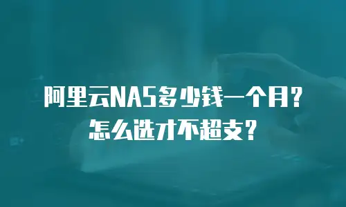 阿里云NAS多少钱一个月？怎么选才不超支？