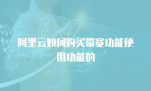 阿里云如何购买带宽功能使用功能的