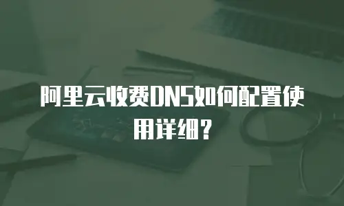 阿里云收费DNS如何配置使用详细？