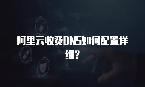 阿里云收费DNS如何配置详细？