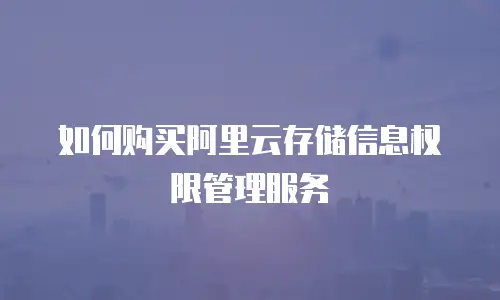 如何购买阿里云存储信息权限管理服务