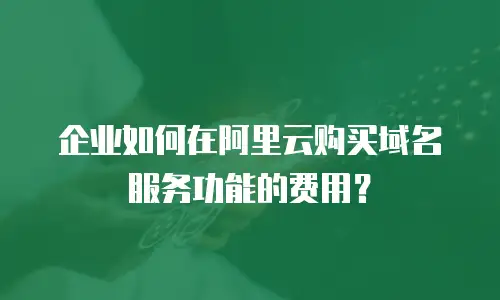 企业如何在阿里云购买域名服务功能的费用？
