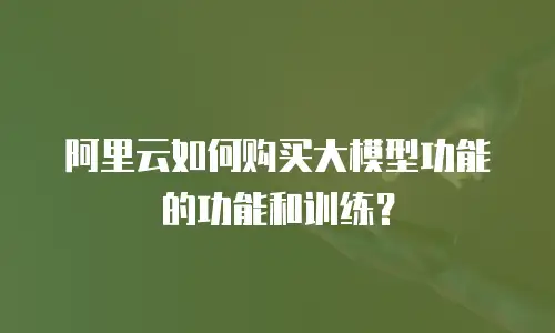 阿里云如何购买大模型功能的功能和训练？