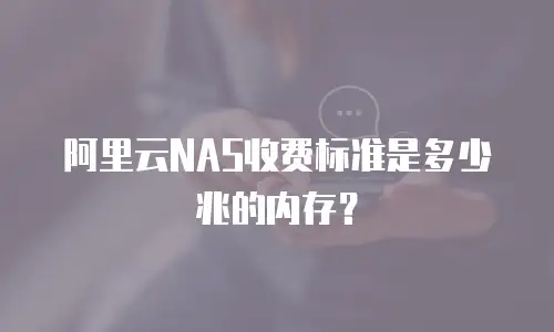 阿里云NAS收费标准是多少兆的内存？