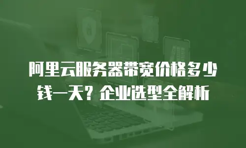 阿里云服务器带宽价格多少钱一天？企业选型全解析