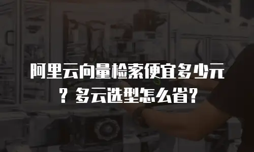 阿里云向量检索便宜多少元？多云选型怎么省？