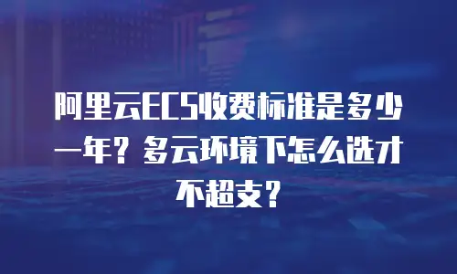 阿里云ECS收费标准是多少一年？多云环境下怎么选才不超支？