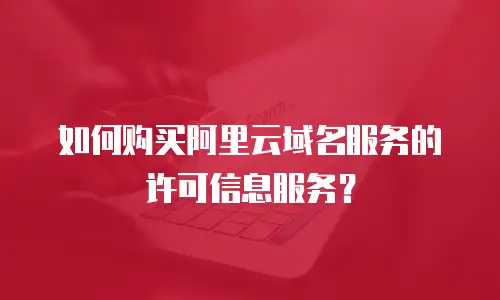 如何购买阿里云域名服务的许可信息服务？