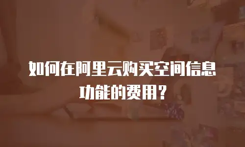 如何在阿里云购买空间信息功能的费用？