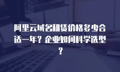 阿里云域名租赁价格多少合适一年？企业如何科学选型？