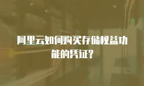 阿里云如何购买存储权益功能的凭证？