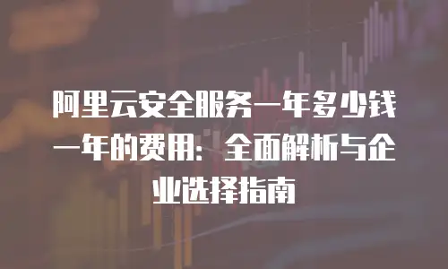 阿里云安全服务一年多少钱一年的费用：全面解析与企业选择指南