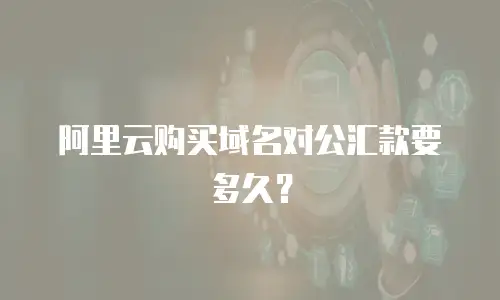 阿里云购买域名对公汇款要多久？