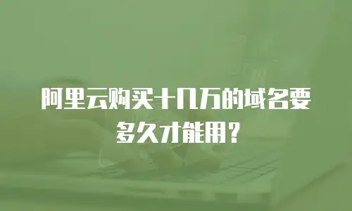 阿里云购买十几万的域名要多久才能用？