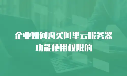 企业如何购买阿里云服务器功能使用权限的