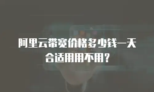 阿里云带宽价格多少钱一天合适用用不用？