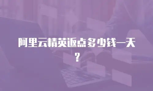 阿里云精英返点多少钱一天？